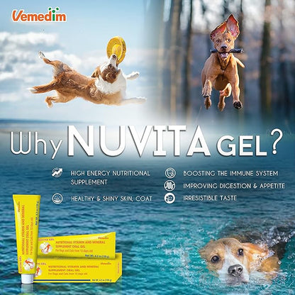 Premium Nutritional and Vitamin Gel for Dogs and Cats - Enhance Health, Boost Appetite, and Energize! Suitable for All Breeds and Life Stages - Multivitamin Gel 4.2 oz (120 g)