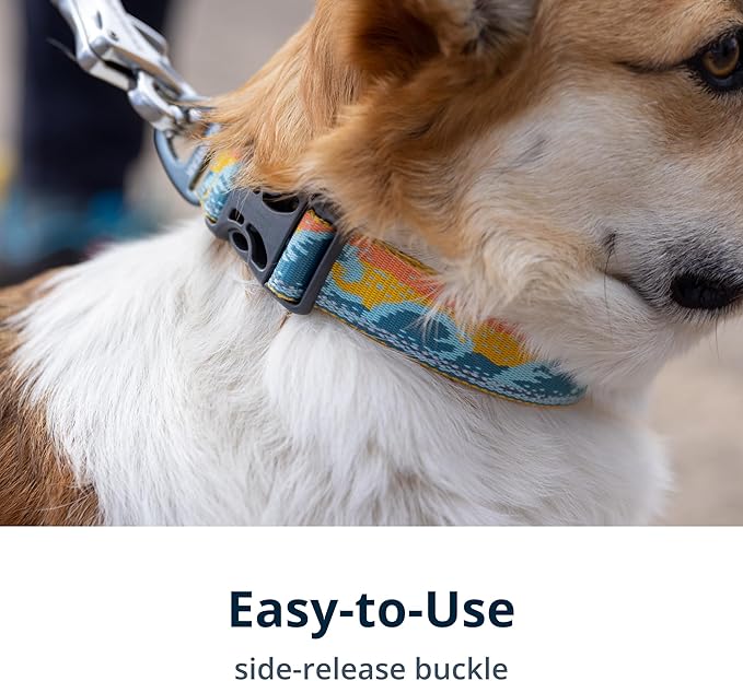 Ruffwear, Crag Dog Collar, Reflective and Comfortable Collar for Everyday Use, Rising Wave, 11"-14"