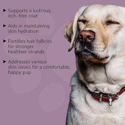 Dog Skin & Coat Supplement Chews - Skin Health Chewable Supplement for All Ages & Breeds - Promotes Healthy Skin & Lustrous Coat - Rich in Omega Fatty Acids & Vitamins – 60 Chews
