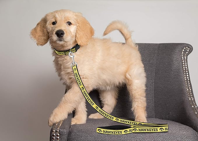 Pets First Collegiate Pet Accessories, Dog Leash, Iowa Hawkeyes, Medium