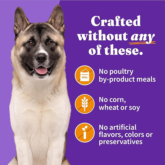 Halo Senior Dog Wet Food, Chicken Recipe, Great as Nutritious Meals or Healthy Dog Food Toppers, 13.2 oz Can (Pack of 6)(Packaging may vary)