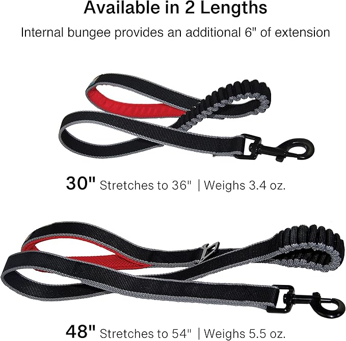Kurgo Springback Leash for Dogs, Dog Running Leash, Bungee Leash Eases Pulling, Padded Handle, Red/Black, 48 Inch Length
