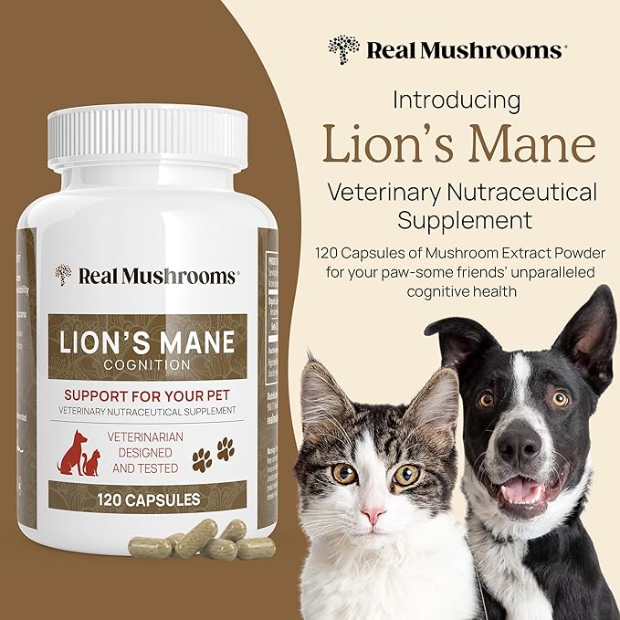 Real Mushrooms Lions Mane Pet Support Mushroom Supplement - Cat & Dog Vitamins and Supplements for Cognition & Memory Support - Vet Approved Mushroom Complex Capsules (120ct) Gluten-Free, Non-GMO