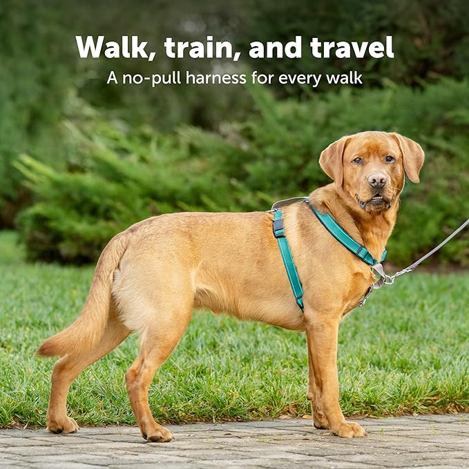 PetSafe 3 in 1 Dog Harness - No Pull Solution for Dogs - Reflective Dog Harness - Front D-Ring Clip Helps Stop Pulling - Comfortable Padded Straps - Top Handle Enhances Control - Plum - Extra Small