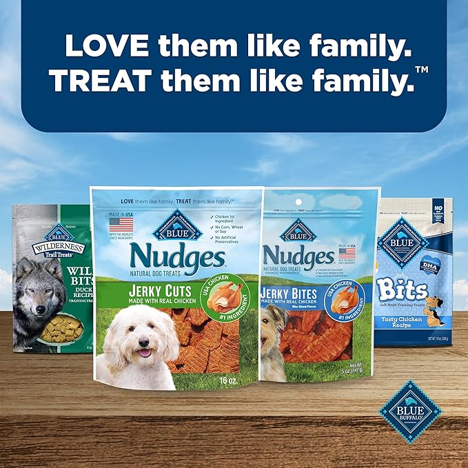 Blue Buffalo Nudges Jerky Bites Dog Treats, Made in The USA with Natural Ingredients, Bite-Sized Pieces, Chicken, 16-oz. Bag (Pack of 2)