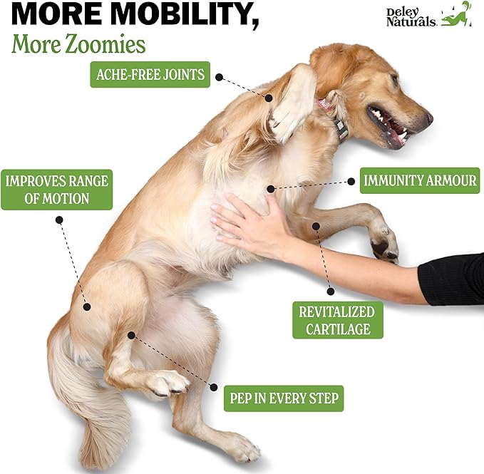 Hip and Joint Support Supplement for Dogs - Advanced Arthritis Pain Relief - Chondroitin, MSM, Organic Turmeric, & Glucosamine for Dogs - Made in USA - 120 Grain Free Soft Chews, Deley Naturals