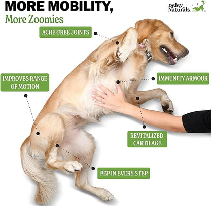 Hip and Joint Support Supplement for Dogs - Advanced Arthritis Pain Relief - Chondroitin, MSM, Organic Turmeric, & Glucosamine for Dogs - Made in USA - 120 Grain Free Soft Chews, Deley Naturals