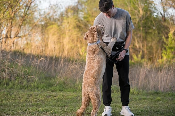Hands Free Dog Leash - Hands Free Dog Leash for Large Dogs w/Water Bottle - Waterproof Waist Leash for Dog Walking 2 Dogs - Reflective Running Leash for Dogs- No Hands Dog Leash Waist Belt