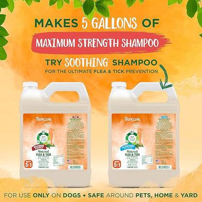 TropiClean Maximum Strength Natural Flea and Tick Dog Shampoo | Natural Flea and Tick Prevention for Dogs | Made in the USA | 1 gallon