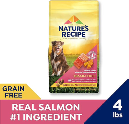Nature′s Recipe Grain Free Salmon, Sweet Potato & Pumpkin Recipe Dry Dog Food, 4 lb. Bag