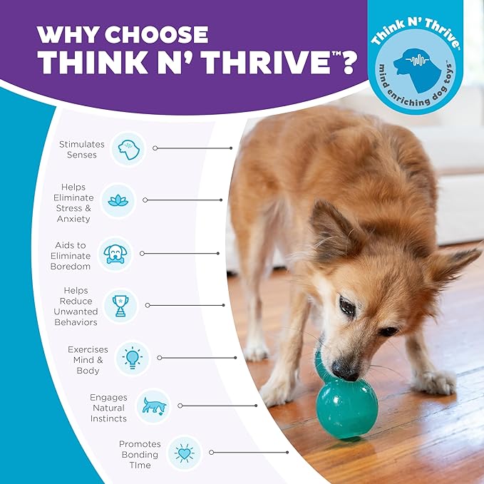Outward Hound Double-Tuff Interactive Treat Stuffer Dog Chew Toy, Durable Dog Toy, Medium, Blue