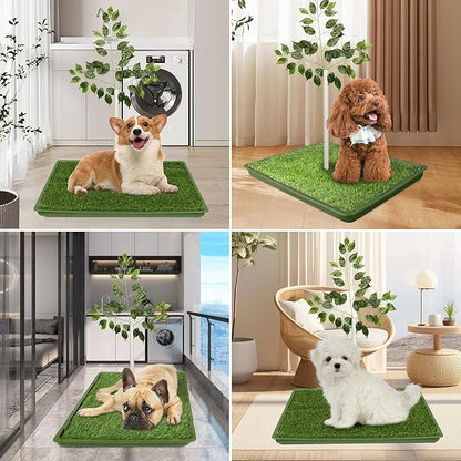Dog Grass Pad with Tray - 2 Pack Replaceable Artificial Grass Puppy Training Pad(No Clips), Quick Absorbent Indoor Portable Potty, Washable Pee Pad for Puppy - Pet Training Solution Green
