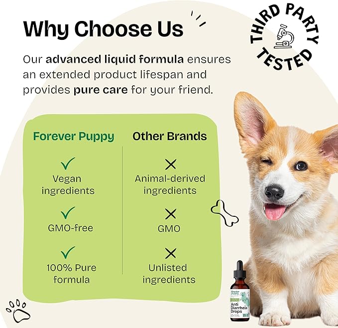Anti-Diarrhea Liquid Drops for Dogs - Diarrhea Relief Drops - Fiber Supplements w/Psyllium Husk - Prebiotics for Dogs' Digestive Support - Dog Food Supplements for Firmer Stool & Gut Health - 2 oz