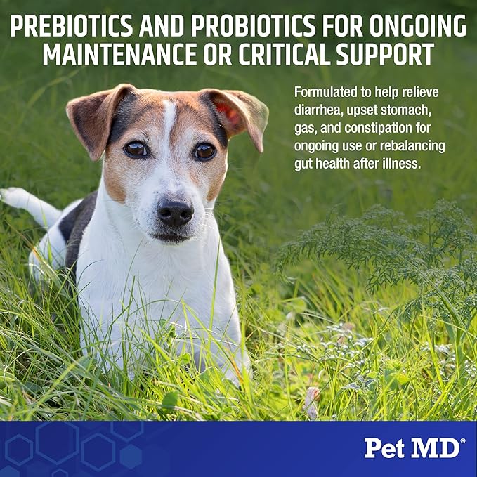 Pet MD Biotic Probiotics for Dogs & Cats - Prebiotic, Fiber, & Probiotic Powder - Gas, Constipation Relief, & Anti Diarrhea - Balance Digestive Flora & Restore Gut Health for Dogs & Cats - 2.12 oz