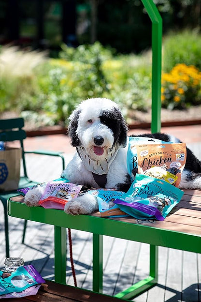 Premium Turkey & Pumpkin 5 oz. Dog Jerky Treats | 100% Human Grade | USA Made | High Protein | Grain Free | Limited Ingredients | No Filler | BHA-BHT Free | Soft-Tender