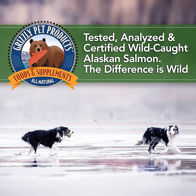Grizzly Algal Plus Omega Fatty Acids Supplement for Dogs & Cats, 16 Fl Oz - Vegan, Plant-Sourced & Made in USA Algal Oil Omega 3-6-9, Healthy Skin & Coat