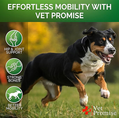 Vet Promise Glucosamine for Dogs - Hip and Joint Supplement for Dogs - Glucosamine Chondroitin for Dogs - Dog Joint Pain Relief - MSM - Advanced Support - 115 Mobility Chews