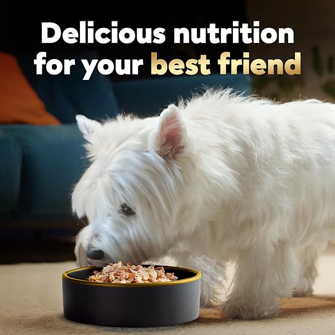 CESAR WHOLESOME BOWLS Adult Soft Wet Dog Food Beef, Chicken, Carrots, Barley & Green Beans Recipe, (10) 3 oz. Bowls