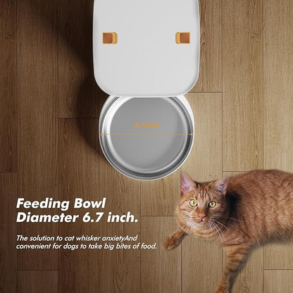 Automatic Dog Feeder - 8L/34 Cups Large Capacity Automatic Cat Food Dispenser with Display LCD Screen,Large Food Tray,Battery Operated,Timed Cat Feeder,Up to 50 Portions 6 Meals Per Day,Keeps Fresh