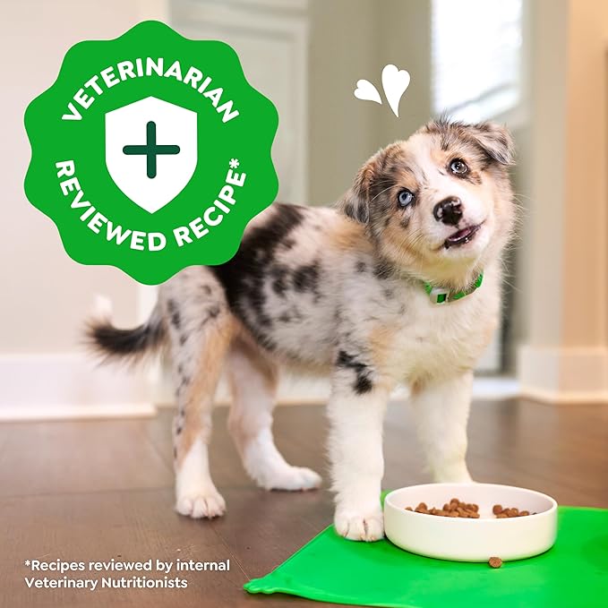 Greenies Smart Essentials Puppy High Protein Dry Dog Food Real Chicken & Brown Rice Recipe, 5.5 lb. Bag