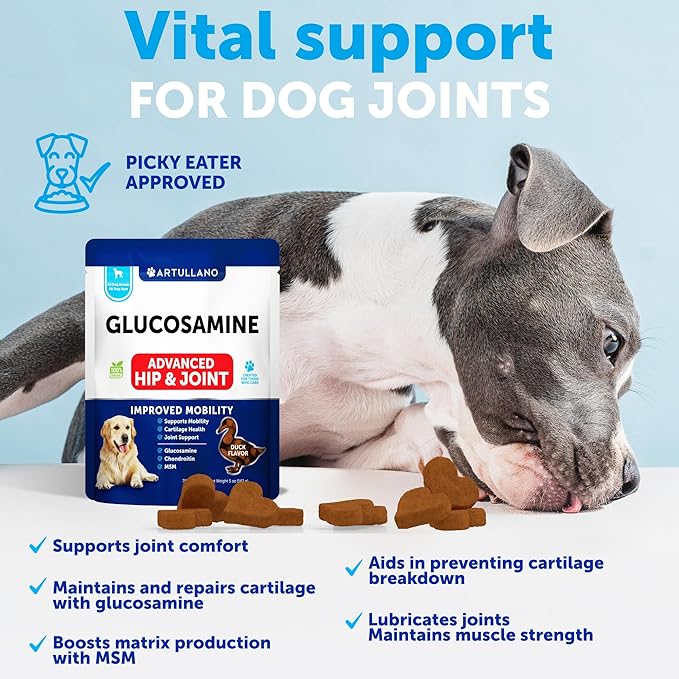 Glucosamine for Dogs - Hip and Joint Supplement for Dogs - Glucosamine Chondroitin For Dogs, Turmeric, MSM - Dog Glucosamine Support - Dog Joint Pain Relief Health - Mobility Treats - 70 Chews