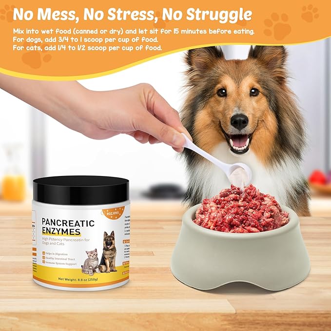 8.8 Ounces Pancreatic Enzymes for Dogs | 10x Pancreatin Formula |Dog Digestive Enzymes for EPI Pets | Support Digestive Stress, Pancreatic Concerns, and Healthy Weight Management