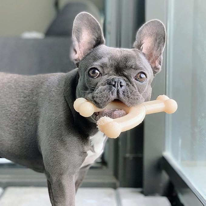 Nylabone Power Chew Wishbone Chew Toy for Dogs, Indestructible Chew Toys for Aggressive Chewers, Original Flavor, Medium up to 35 lbs. (1 Count)