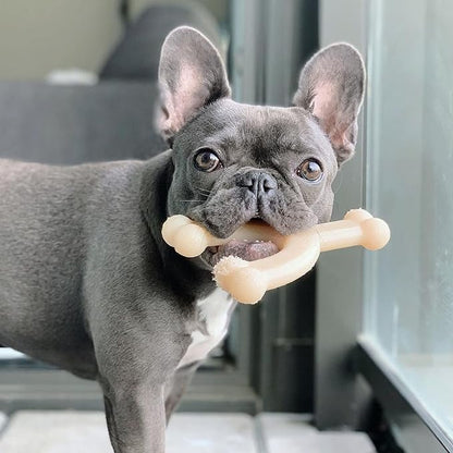 Nylabone Power Chew Wishbone Chew Toy for Dogs, Indestructible Chew Toys for Aggressive Chewers, Original Flavor, Medium up to 35 lbs. (1 Count)