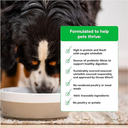 Open Farm Catch-of-The-Season Whitefish Grain-Free Dry Dog Food, Sustainably Caught Fish Recipe with Non-GMO Superfoods and No Artificial Flavors or Preservatives, 4 lbs