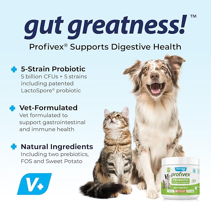 Vetnique Labs Profivex Probiotics for Dogs All Natural Dog Chews & Powder for Digestive Health Probiotic Supplements for Dogs 5 Strains of Probiotics & Prebiotics (Powder, 8.5oz)