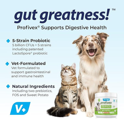 Vetnique Labs Profivex Probiotics for Dogs All Natural Dog Chews & Powder for Digestive Health Probiotic Supplements for Dogs 5 Strains of Probiotics & Prebiotics (Powder, 8.5oz)
