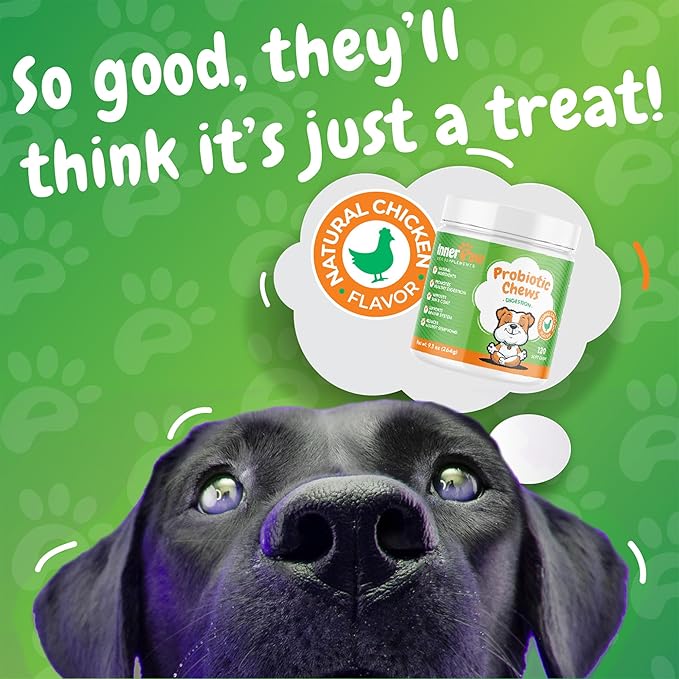 Probiotics for Dogs - Digestive Enzymes for Gut Health, Diarrhea & Bowel Support, Seasonal Allergies, Dog Supplement for Pet Immune System, Dog Vitamin - 120 Soft Chews - Chicken