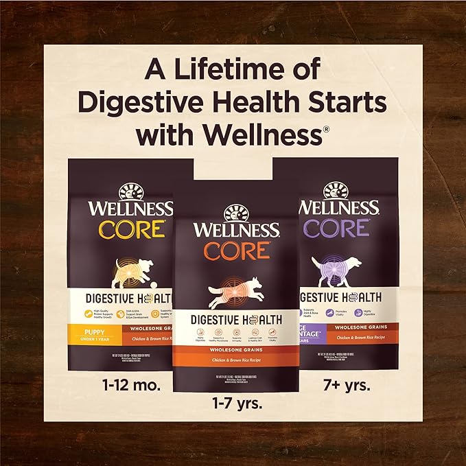 Wellness CORE Digestive Health Dry Puppy Food with Wholesome Grains, Highly Digestible, for Dogs with Sensitive Stomachs, Made in USA with Real Chicken (Puppy, 24-Pound Bag) (Packaging may vary)