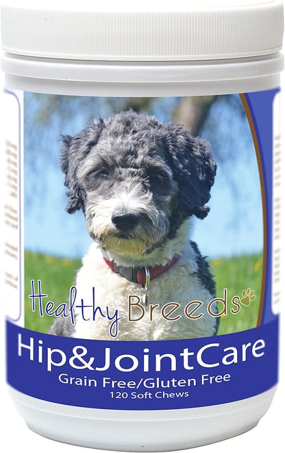 Healthy Breeds Aussiedoodle Hip and Joint Care 120 Count