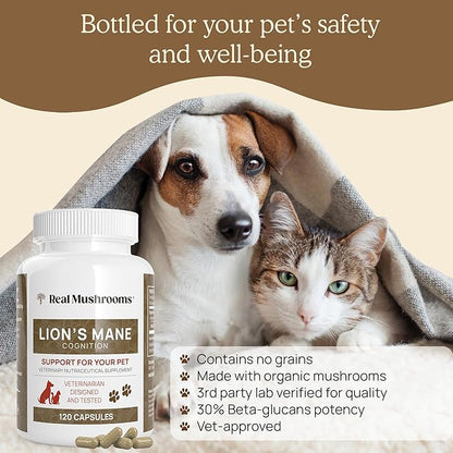 Real Mushrooms Lions Mane Pet Support Mushroom Supplement - Cat & Dog Vitamins and Supplements for Cognition & Memory Support - Vet Approved Mushroom Complex Capsules (120ct) Gluten-Free, Non-GMO