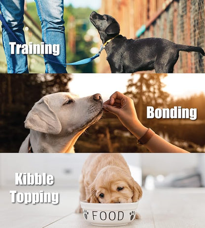 Whole Life Pet Just One Salmon - Dog Treat Or Topper - Human Grade, Freeze Dried, One Ingredient - Protein Rich, Grain Free, Made in The USA