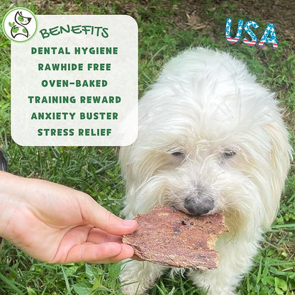 Nature Gnaws USA Crunch Chips for Dogs - Single Ingredient Natural Dog Chew Jerky Treats – Made in USA (8 oz)
