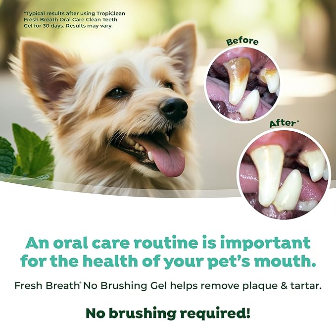 TropiClean Clean Teeth Gel for Dogs | Dog Dental Care | Dog Toothpaste | Breath Freshener | Easy Teeth Cleaning | Made in the USA | 4 oz.