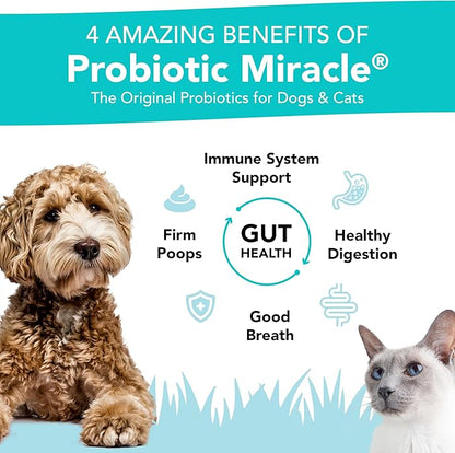 Probiotics for Dogs -(360 Scoops)-Probiotic Miracle -Advanced, Species Specific Probiotics and Prebiotics to Stop Diarrhea, Loose Stool, and Yeast-Plus Immune Support