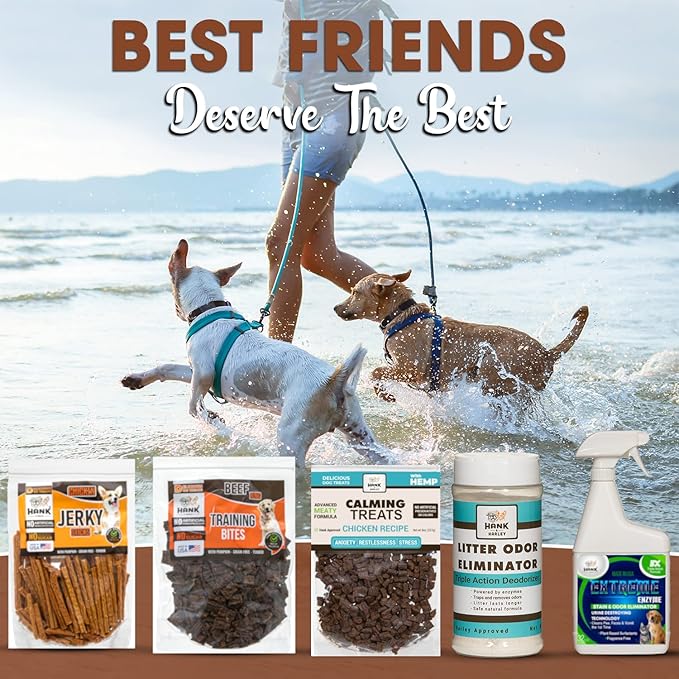 Hank & Harley Chicken Jerky Sticks, 1 lb - USA Lean Protein Soft Dog Treats with Pumpkin. 100% Natural and NO Added Sugar, Flour or fillers. Ideal for finicky Pets
