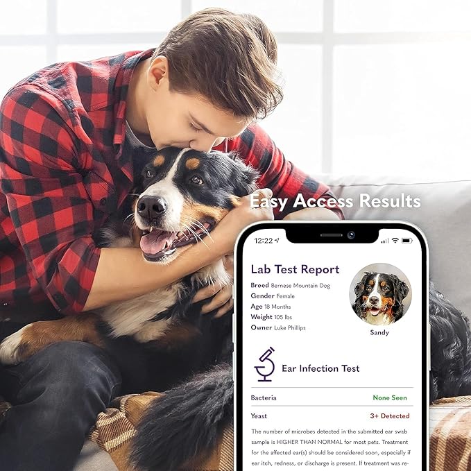 MySimplePetLab Dogs Ear Infection Test Kit | Fast and Accurate Detection of Yeast and other Ear Irritations| Reliable Mail-in Dog Ear Care Test for Smelly, Itchy, or Sore Ears