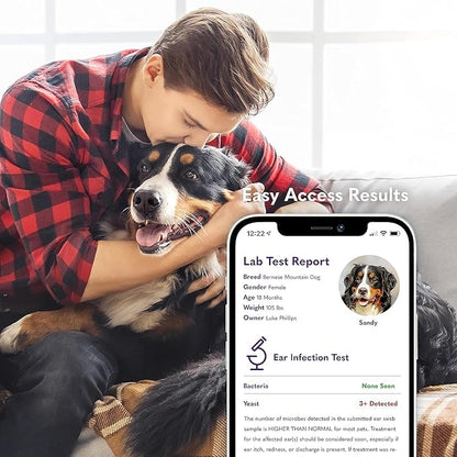 MySimplePetLab Dogs Ear Infection Test Kit | Fast and Accurate Detection of Yeast and other Ear Irritations| Reliable Mail-in Dog Ear Care Test for Smelly, Itchy, or Sore Ears