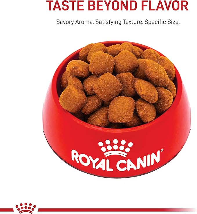 Royal Canin Giant Breed Adult Dry Dog Food, 30 lb Bag