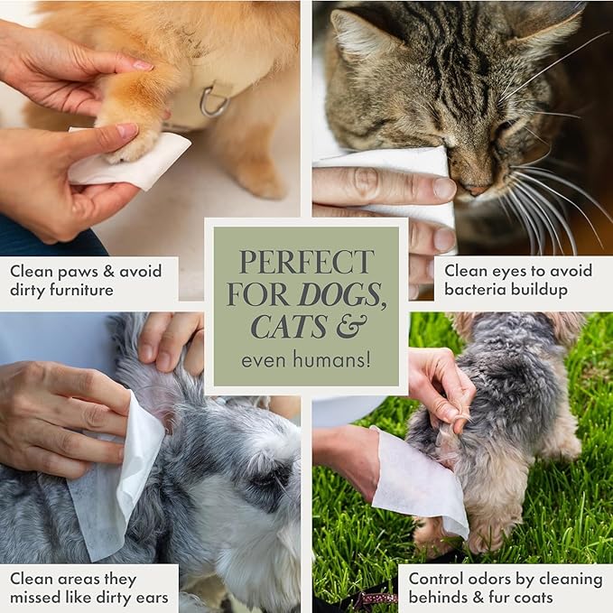 Premium Dog Wipes Cleaning Wipes for Dogs Cat Wipes Pet Wipes Biodegradable Non-Scented Non Alcohol Wipes w/Aloe Vera Plant Puppy Wipes Dog Paw Wipes Dog Face Wipes Great for Puppy Pads