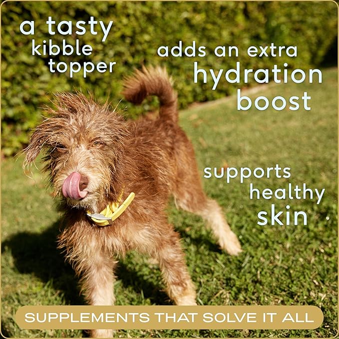 Native Pet Bone Broth for Dogs and Cats – Dog Bone Broth Powder for Dog Food Topper for Picky Eaters – Cat and Dog Broth - Dog Gravy Topper for Dry Food – Beef Broth for Dogs and Cats – 9.5 oz