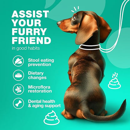 Probiotics for Dogs - Coprophagia Deterrent for Dogs - Deterrent for Dogs Eating Poop - Dog Probiotics Treats - Probiotic Chews for Dogs - Dog Probiotic & Digestive Enzymes - Gut Health, Itchy Skin
