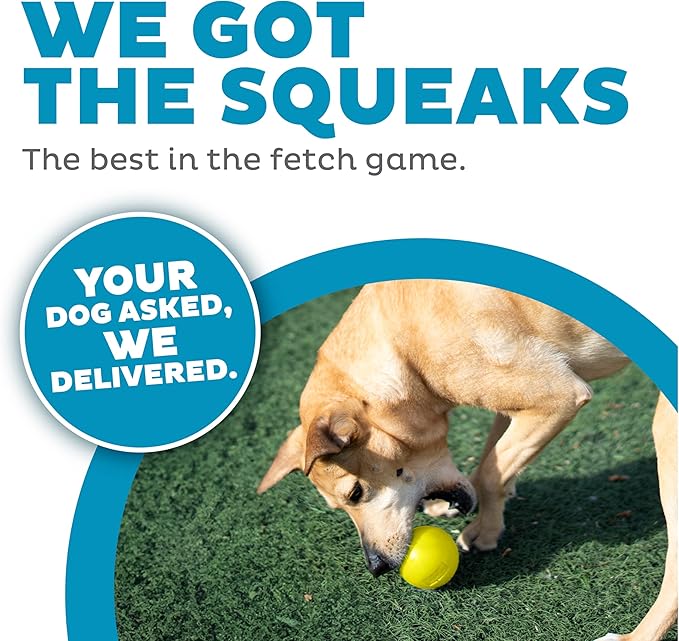Outward Hound Orbee-Tuff Squeak Ball Yellow Dog Fetch Toy