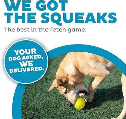 Outward Hound Orbee-Tuff Squeak Ball Yellow Dog Fetch Toy