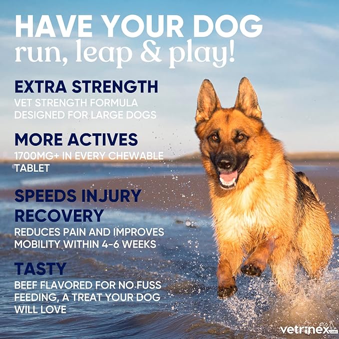 Joint Support Supplement for Large Dogs - Hip and Joint Chewable Tablets for Large Breed Dogs with Glucosamine, Chondroitin, and MSM, Beef Flavor, 120 Tablets