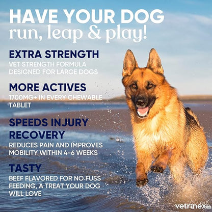 Joint Support Supplement for Large Dogs - Hip and Joint Chewable Tablets for Large Breed Dogs with Glucosamine, Chondroitin, and MSM, Beef Flavor, 120 Tablets
